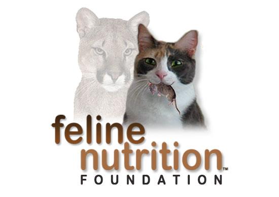 Feline nutrition 2025