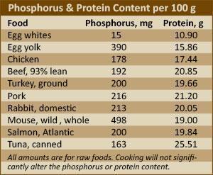 Phosphorus binders 2024 for cats