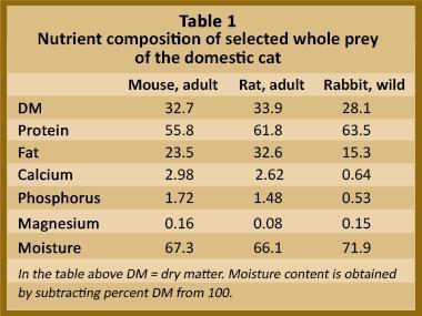 Cancer diet for cats hotsell