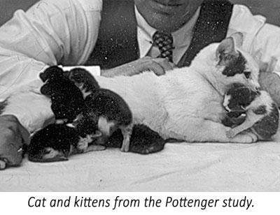 Pottenger's cats a outlet study in nutrition