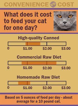 Feline Nutrition Dry Cat Food The Big Easy Hare Today