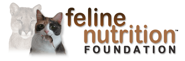 Feline nutrition on sale