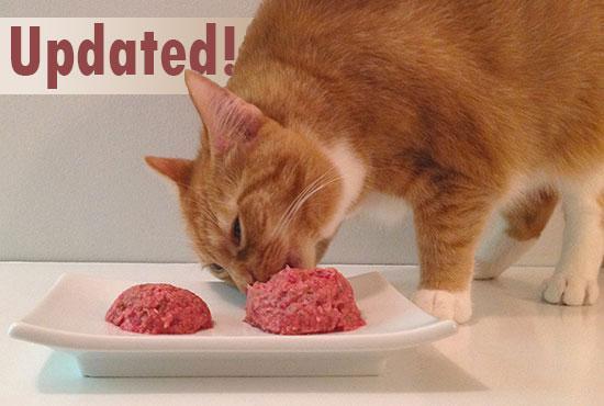 Best raw shop diet for cats