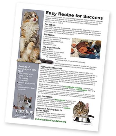 Homemade cat food clearance recipes