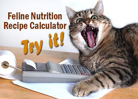 Feline Nutrition Feline Nutrition s Easy Homemade Cat Food