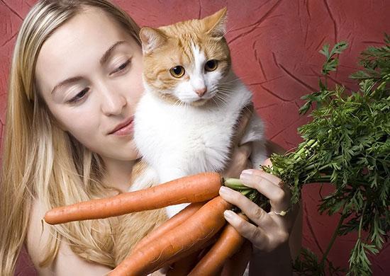 Cats on 2025 a vegan diet